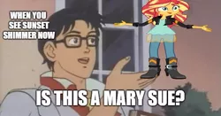 Size: 600x315 | Tagged: safe, banned from derpibooru, deleted from derpibooru, derpibooru import, sunset shimmer, equestria girls, is this a pigeon, meme