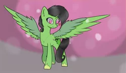 Size: 3800x2200 | Tagged: safe, artist:shepardinthesky, banned from derpibooru, deleted from derpibooru, derpibooru import, oc, oc:anonfilly, oc:emerald dawn, alicorn, alicorn oc, female, filly, floating heart, heart, heart eyes, horn, jewelry, necklace, solo, spread wings, wingding eyes, wings