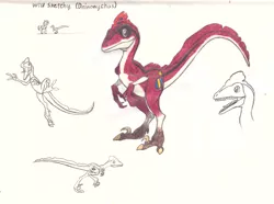 Size: 1931x1436 | Tagged: safe, artist:smcho1014, banned from derpibooru, deleted from derpibooru, derpibooru import, oc, oc:wild sketchy, unofficial characters only, dinosaur, barely pony related, concept art, deinonychus, obligatory pony, size chart, size comparison, size difference, solo, traditional art