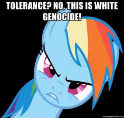 Size: 919x870 | Tagged: safe, banned from derpibooru, deleted from derpibooru, derpibooru import, rainbow dash, pegasus, pony, alt-right, angry, caption, downvote bait, genocide, image macro, meme, obligatory pony, politics, racial nationalism, racialism, racism, reaction image, solo, text, white nationalism