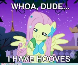 Size: 500x415 | Tagged: safe, banned from derpibooru, deleted from derpibooru, derpibooru import, fluttershy, caption, flutterhigh, high, image macro, text