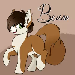 Size: 2000x2000 | Tagged: safe, artist:kinky tease, banned from derpibooru, deleted from derpibooru, derpibooru import, oc, oc:beano, unofficial characters only, fennec fox, fox, fox pony, hybrid, pony, balancing, body markings, chest fluff, chubby, ear fluff, female, fluffy, fluffy tail, hair over one eye, large ears, mare, solo