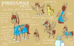 Size: 2000x1236 | Tagged: safe, artist:sunnytp, banned from derpibooru, deleted from derpibooru, derpibooru import, ponified, pegasus, pony, clothes, link, male, mouth hold, ponies of the wild, reference sheet, stained glass, stallion, sword, the legend of zelda, the legend of zelda: breath of the wild, tunic, weapon