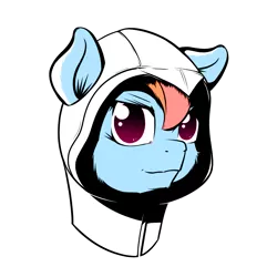 Size: 1900x1900 | Tagged: safe, artist:umgaris, banned from derpibooru, deleted from derpibooru, derpibooru import, rainbow dash, assassin's creed, crossover, simple background, solo