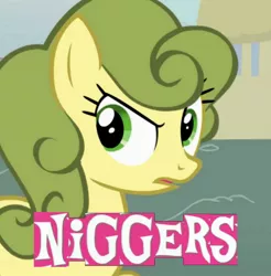 Size: 1259x1280 | Tagged: safe, banned from derpibooru, deleted from derpibooru, derpibooru import, carrot top, golden harvest, 1000 hours in ms paint, caption, expand dong, exploitable meme, green hair, image macro, meme, niggers, racial slur, shitposting, text, vulgar