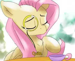 Size: 2383x1944 | Tagged: safe, artist:ando, banned from derpibooru, deleted from derpibooru, derpibooru import, fluttershy, pegasus, pony, eyes closed, female, mare, monocle, quite, smiling, solo