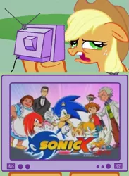 Size: 563x771 | Tagged: safe, artist:ralftheralfman, banned from derpibooru, deleted from derpibooru, derpibooru import, applejack, amy rose, chris thorndyke, doctor eggman, exploitable meme, knuckles the echidna, meme, miles "tails" prower, obligatory pony, sonic the hedgehog, sonic the hedgehog (series), sonic x, tv meme