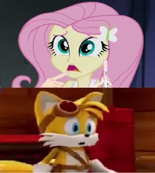 Size: 640x712 | Tagged: safe, artist:brandonale, banned from derpibooru, deleted from derpibooru, derpibooru import, fluttershy, equestria girls, rainbow rocks, crossover, miles "tails" prower, pregnancy test, pregnancy test meme, sonic boom, sonic the hedgehog (series)