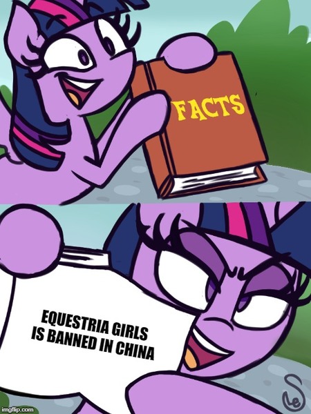 Size: 500x667 | Tagged: safe, artist:quarium edits, banned from derpibooru, deleted from derpibooru, derpibooru import, twilight sparkle, twilight sparkle (alicorn), alicorn, equestria girls, banned, china, exploitable meme, fake, image macro, meme, twilight's fact book