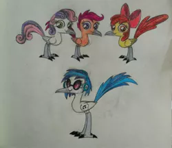 Size: 2225x1920 | Tagged: safe, artist:smcho1014, banned from derpibooru, deleted from derpibooru, derpibooru import, apple bloom, scootaloo, sweetie belle, vinyl scratch, bird, roadrunner, birb, birdified, colored pencil drawing, cuckoo, cutie mark crusaders, female, my little roadrunner, species swap, sunglasses, traditional art