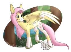 Size: 1280x944 | Tagged: safe, artist:bluebrush09, banned from derpibooru, deleted from derpibooru, derpibooru import, fluttershy, pegasus, pony, rabbit, animal, colored wings, cute, deviantart watermark, ear fluff, female, mare, markings, multicolored wings, obtrusive watermark, redesign, shyabetes, unshorn fetlocks, watermark, wing fluff, wings