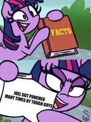 Size: 500x667 | Tagged: safe, artist:quarium edits, banned from derpibooru, deleted from derpibooru, derpibooru import, exploitable meme, image macro, joel, meme, twilight's fact book, vinesauce