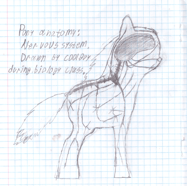 Size: 3604x3573 | Tagged: safe, artist:c00lguy, banned from derpibooru, deleted from derpibooru, derpibooru import, oc, earth pony, pony, anatomy, biology, female, graph paper, mare, medicine, nervous system, nudity, text, traditional art