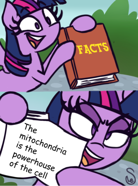 Size: 537x720 | Tagged: safe, artist:quarium edits, banned from derpibooru, deleted from derpibooru, derpibooru import, edit, editor:countcoltnackh, twilight sparkle, alicorn, pony, actually a fact, biology, caption, comic sans, exploitable meme, image macro, meme, mitochondria, science, shitposting, solo, text, the more you know, twilight's fact book