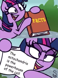Size: 537x720 | Tagged: safe, artist:quarium edits, banned from derpibooru, deleted from derpibooru, derpibooru import, edit, editor:countcoltnackh, twilight sparkle, alicorn, pony, actually a fact, biology, caption, comic sans, exploitable meme, image macro, meme, mitochondria, science, shitposting, solo, text, the more you know, twilight's fact book