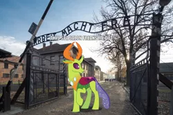 Size: 1280x853 | Tagged: safe, banned from derpibooru, deleted from derpibooru, derpibooru import, edit, thorax, changedling, changeling, pony, antlers, arbeit macht frei, auschwitz, irl, king thorax, looking back, photo, ponies in real life, we are going to heil, we are going to hell
