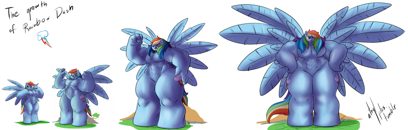 Size: 3395x1085 | Tagged: safe, artist:atryl, banned from derpibooru, deleted from derpibooru, derpibooru import, rainbow dash, anthro, female, fetish, giantess, growth, impossibly large wings, impossibly wide hips, large wings, macro, muscle expansion, muscle fetish, muscles, overdeveloped muscles, rainbuff dash, sequence, stout, this isn't even my final form, wat, wide hips, wings