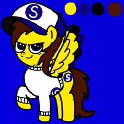 Size: 768x768 | Tagged: safe, artist:sebtheartist, banned from derpibooru, deleted from derpibooru, derpibooru import, oc, oc:ponyseb, pony, baseball cap, cap, colored wings, determined, hat, ibispaint x, reference sheet, wings