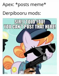 Size: 1004x1279 | Tagged: safe, banned from derpibooru, deleted from derpibooru, derpibooru import, editor:apex soundwave, earth pony, pony, derpibooru, caption, female, gun, image macro, impact font, mare, meme, meta, police officer, text, weapon