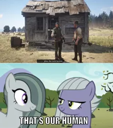Size: 929x1053 | Tagged: safe, banned from derpibooru, deleted from derpibooru, derpibooru import, limestone pie, marble pie, the maud couple, female, john marston, meme, pie sisters, red dead redemption 2, rock farm, siblings, sisters, that's my x