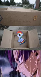 Size: 829x1543 | Tagged: safe, banned from derpibooru, deleted from derpibooru, derpibooru import, fanfic:my little dashie, crying, dashie meme, dragon ball, dragon ball z, exploitable meme, good people finding dash meme, history of trunks, meme, obligatory pony, trunks