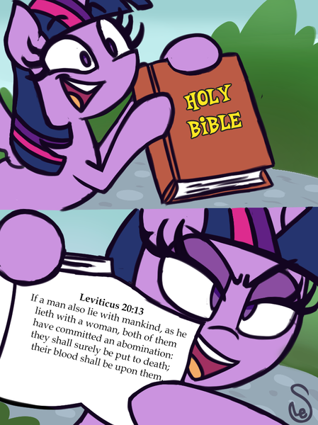 Size: 760x1015 | Tagged: safe, artist:quarium edits, banned from derpibooru, deleted from derpibooru, derpibooru import, edit, twilight sparkle, twilight sparkle (alicorn), alicorn, pony, bible, book, comic, ed edd n eddy, exploitable, exploitable meme, facts, female, image macro, mare, meme, mouthpiece, open mouth, signature, smiling, solo, text, twilight's fact book