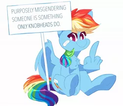 Size: 2048x1761 | Tagged: safe, artist:hiccupsdoesart, banned from derpibooru, deleted from derpibooru, derpibooru import, rainbow dash, pegasus, pony, backwards cutie mark, bandage, chest fluff, female, lgbt, looking at you, mare, middle finger, mouthpiece, pride, sign, simple background, sitting, solo, transgender, vulgar, white background, wing hands, wings