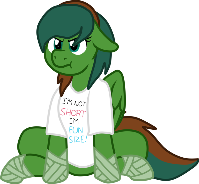 Size: 2833x2615 | Tagged: safe, alternate version, artist:feathertrap, artist:littlebibbo, banned from derpibooru, deleted from derpibooru, derpibooru import, oc, oc:windy barebow evergreen, unofficial characters only, pegasus, pony, clothes, female, floppy ears, in denial, indignant, mare, shirt, short, simple background, sitting, solo, t-shirt, text, transparent background, vector