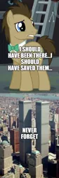 Size: 500x1481 | Tagged: safe, banned from derpibooru, deleted from derpibooru, derpibooru import, edit, edited screencap, screencap, doctor whooves, time turner, 9/11, comic, screencap comic, tribute, twin towers, world trade center