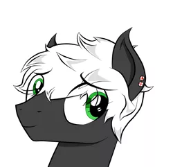 Size: 1377x1329 | Tagged: safe, artist:arrgus-korr, banned from derpibooru, deleted from derpibooru, derpibooru import, oc, oc:graii tryggvason, unofficial characters only, earth pony, pony, base used, bust, eye clipping through hair, male, piercing, portrait, simple background, smiling, solo, stallion, white background