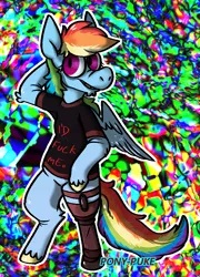 Size: 700x974 | Tagged: safe, artist:pony-puke, banned from derpibooru, deleted from derpibooru, derpibooru import, rainbow dash, pegasus, semi-anthro, amputee, clothes, peg leg, prosthetic leg, prosthetic limb, prosthetics, shirt, smiling, solo, vulgar