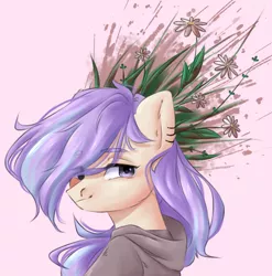 Size: 1200x1217 | Tagged: safe, artist:vell tea, banned from derpibooru, deleted from derpibooru, derpibooru import, oc, unofficial characters only, earth pony, pony, bust, clothes, flower, hoodie, piercing, portrait, solo