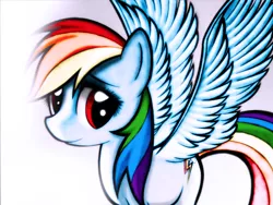 Size: 2304x1728 | Tagged: source needed, safe, artist:names76, banned from derpibooru, deleted from derpibooru, derpibooru import, rainbow dash, image, jpeg, solo