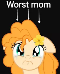 Size: 1080x1322 | Tagged: safe, artist:sollace, banned from derpibooru, deleted from derpibooru, derpibooru import, edit, pear butter, earth pony, pony, abuse, black background, crying, downvote bait, pearbuse, sad, simple background, solo, teary eyes, vector, worst pony