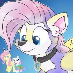 Size: 1250x1250 | Tagged: safe, artist:rainbow eevee, banned from derpibooru, deleted from derpibooru, derpibooru import, fluttershy, character to character, everest (paw patrol), male to female, paw patrol, rule 63, transformation, transgender transformation