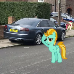Size: 1080x1081 | Tagged: safe, artist:s-class-destroyer, banned from derpibooru, deleted from derpibooru, derpibooru import, lightning dust, roseluck, earth pony, pegasus, pony, audi, audi a8, car, female, irl, mare, obligatory pony, photo, ponies in real life, salute