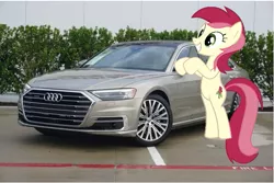 Size: 641x428 | Tagged: safe, artist:s-class-destroyer, banned from derpibooru, deleted from derpibooru, derpibooru import, roseluck, earth pony, pony, audi, audi a8, car, irl, photo, ponies in real life, solo