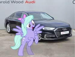 Size: 712x539 | Tagged: safe, artist:s-class-destroyer, banned from derpibooru, deleted from derpibooru, derpibooru import, edit, flitter, pegasus, pony, audi, audi a8, car, female, irl, mare, obligatory pony, photo, ponies in real life, solo