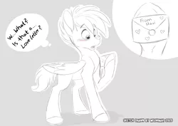 Size: 4093x2894 | Tagged: safe, artist:meowmavi, banned from derpibooru, deleted from derpibooru, derpibooru import, oc, oc:riley, pegasus, monochrome, sketch
