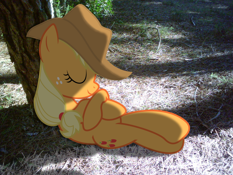 Size: 1280x960 | Tagged: safe, artist:sparkdraws, banned from derpibooru, deleted from derpibooru, derpibooru import, applejack, pony, hat, irl, photo, ponies in real life, shadow, sleeping, tree, vector