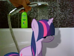 Size: 1280x960 | Tagged: safe, artist:sparkdraws, banned from derpibooru, deleted from derpibooru, derpibooru import, twilight sparkle, pony, bath, irl, photo, ponies in real life, shadow, shampoo, shower, vector, wet, wet mane