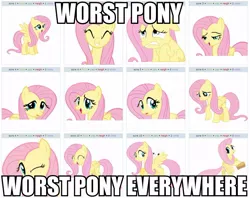 Size: 960x759 | Tagged: safe, banned from derpibooru, deleted from derpibooru, derpibooru import, fluttershy, trolling, worst pony, x x everywhere