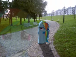 Size: 1280x960 | Tagged: safe, artist:sparkdraws, banned from derpibooru, deleted from derpibooru, derpibooru import, rainbow dash, ghost, pony, undead, bench, crying, irl, photo, ponies in real life, sad, shadow, tree, vector, walkway