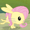 Size: 100x100 | Tagged: safe, banned from derpibooru, deleted from derpibooru, derpibooru import, fluttershy, rabbit, animal, animated, gif, gif for breezies, picture for breezies, species swap