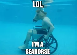 Size: 499x362 | Tagged: photographer needed, safe, banned from derpibooru, deleted from derpibooru, derpibooru import, human, barely pony related, caption, hoers, horse head, irl, irl human, photo, text, underwater, wat, wheelchair