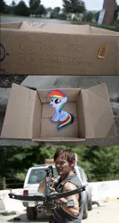 Size: 829x1543 | Tagged: safe, banned from derpibooru, deleted from derpibooru, derpibooru import, fanfic:my little dashie, crossbow, daryl dixon, dashie meme, exploitable meme, good people finding dash meme, meme, norman reedus, obligatory pony, the walking dead