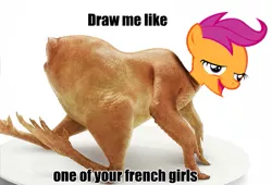 Size: 537x365 | Tagged: safe, banned from derpibooru, deleted from derpibooru, derpibooru import, scootaloo, bird, chicken, caption, chickun, draw me like one of your french girls, exploitable meme, faic, forced meme, image macro, meme, plate, scootachicken, text, wat