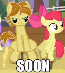 Size: 355x400 | Tagged: safe, banned from derpibooru, deleted from derpibooru, derpibooru import, edit, apple bloom, oc, oc:mandopony, earth pony, apple family reunion, forced meme, imminent rape, imminent sex, mandobloom, meme, out of context, soon