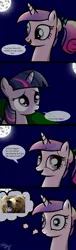 Size: 573x1878 | Tagged: safe, banned from derpibooru, deleted from derpibooru, derpibooru import, edit, princess cadance, twilight sparkle, american football, chicago bears, comic, female, filly, football, /mlp/, /sp/, sports, super bowl, vulgar