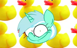 Size: 994x629 | Tagged: safe, artist:daftles, banned from derpibooru, deleted from derpibooru, derpibooru import, lyra heartstrings, bird, duck, .mov, animated at source, faic, rubber duck, solo, wat